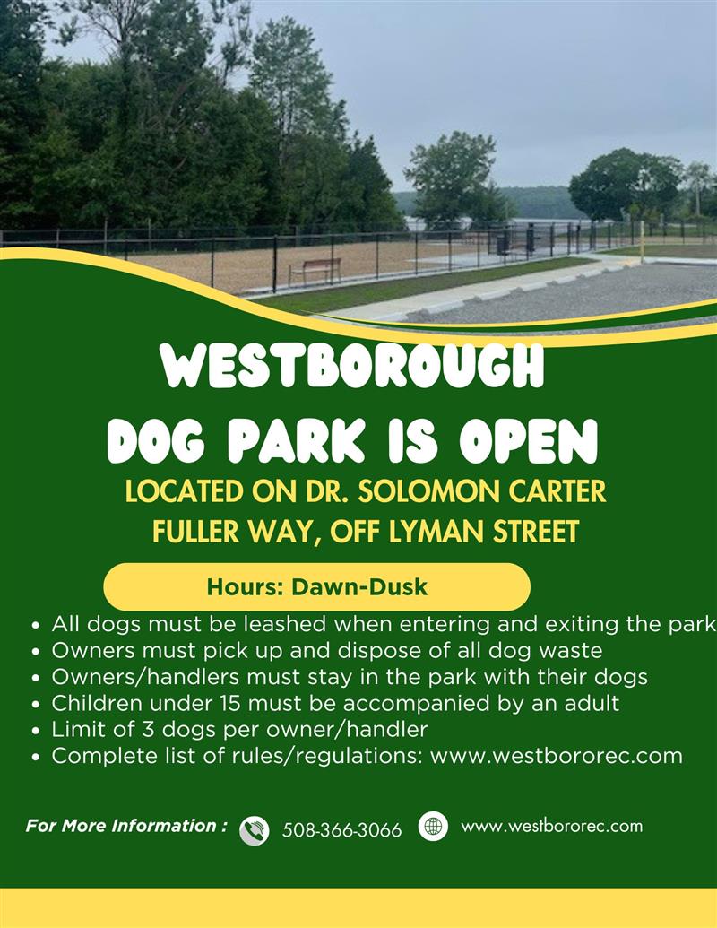 Dog Park Flyer